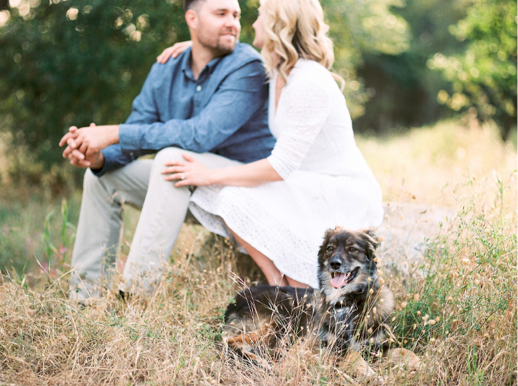 JENN CLAPP WEDDING SPOTLIGHT 3