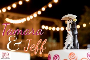tamara & jeff wedding-riptide blog
